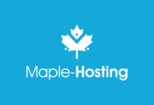 2025年Maple-Hosting黑五大促 荷兰服务器$199/月起 独享1Gbps带宽不限流量-主机选购
