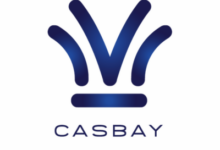 Casbay马来西亚 KVM VPS/独立服务器/不限流量/新增 Mac mini M4/$109/月起-主机选购